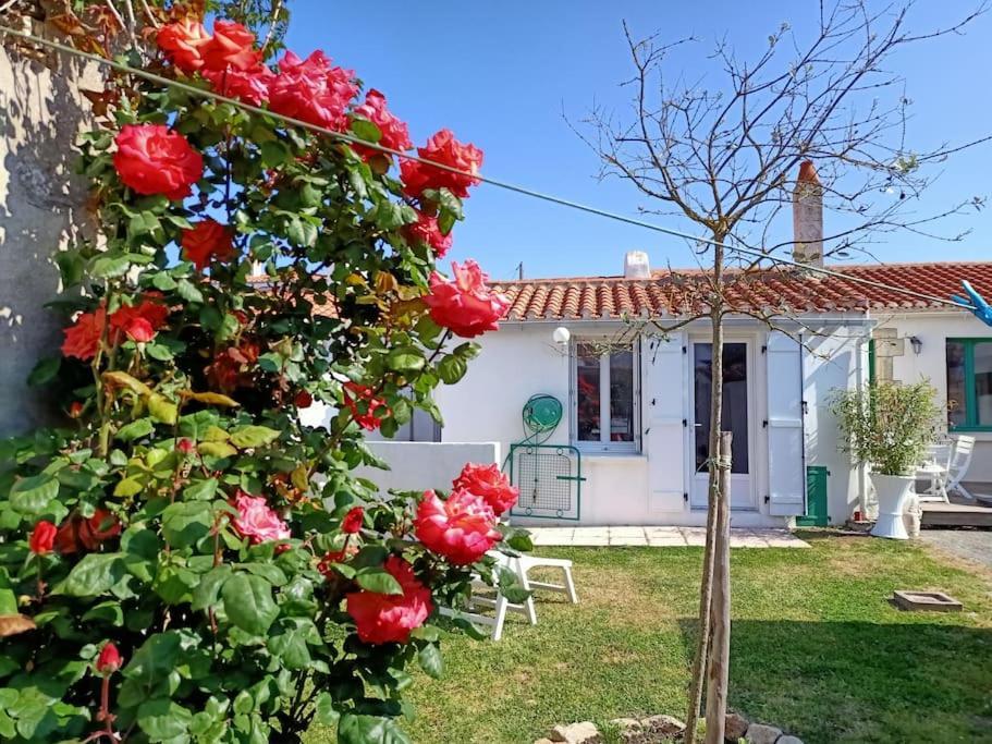 La Maison Du Marin Villa Saint Gilles Croix de vie Dış mekan fotoğraf